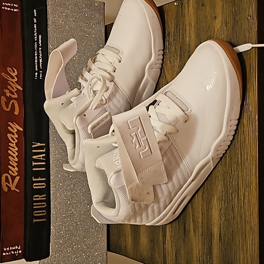 LeBron sneakers